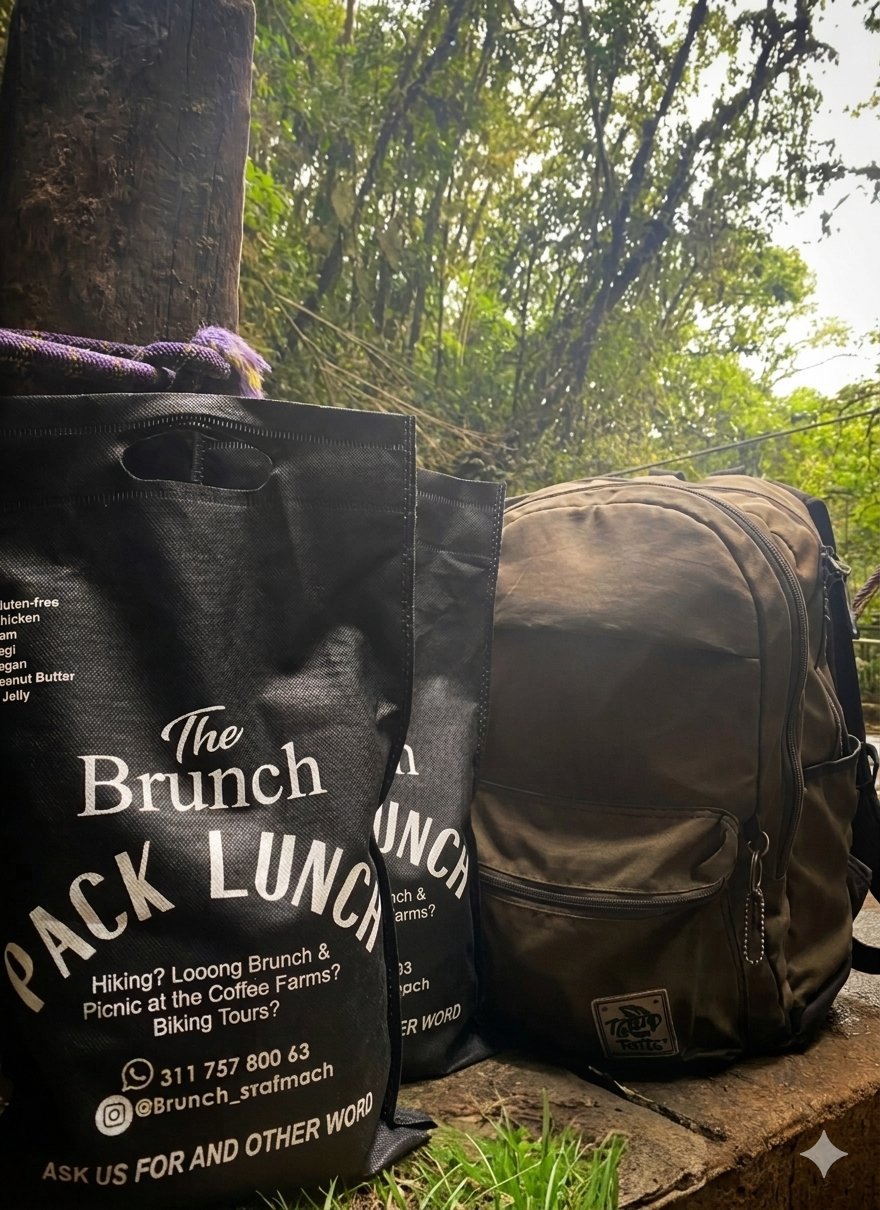 Pack Lunch Brunch